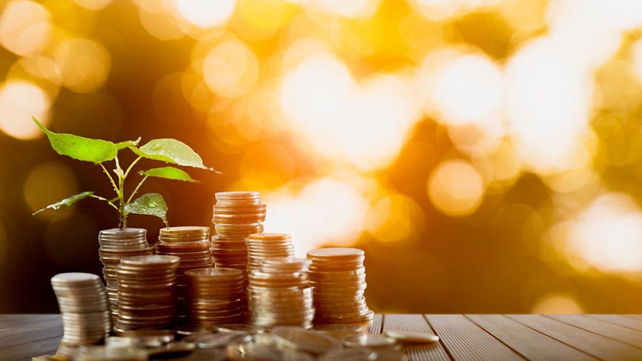 Stack of coins growing a small plant as a concept of financial growth.