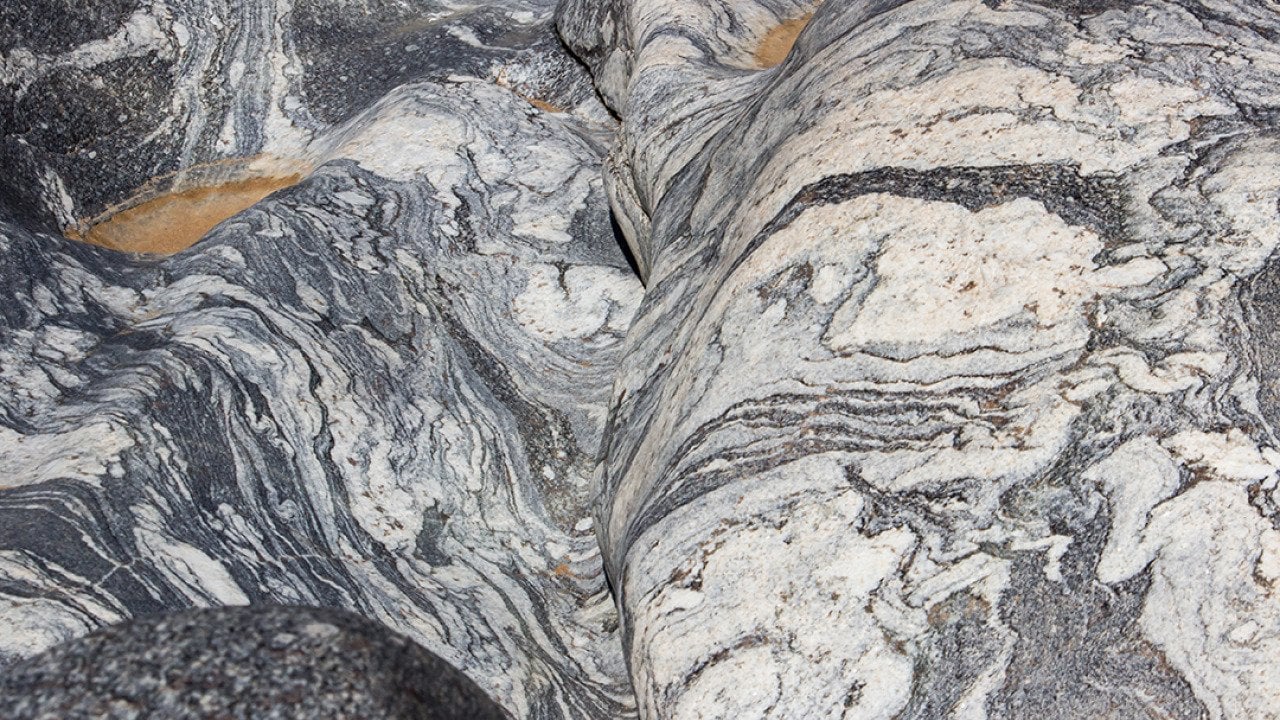 Close up of a migmatite boulder of the Natal-Namaqua metamorphic belt.
