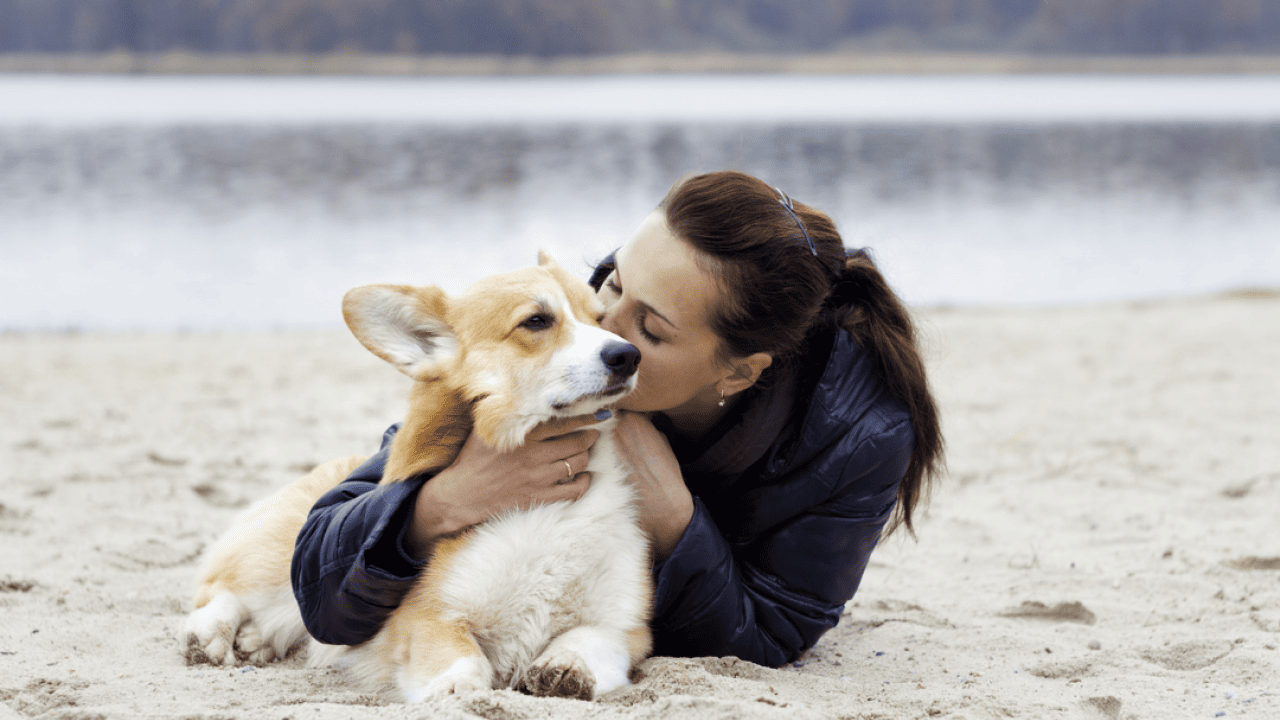 How to tell if your dog really loves you