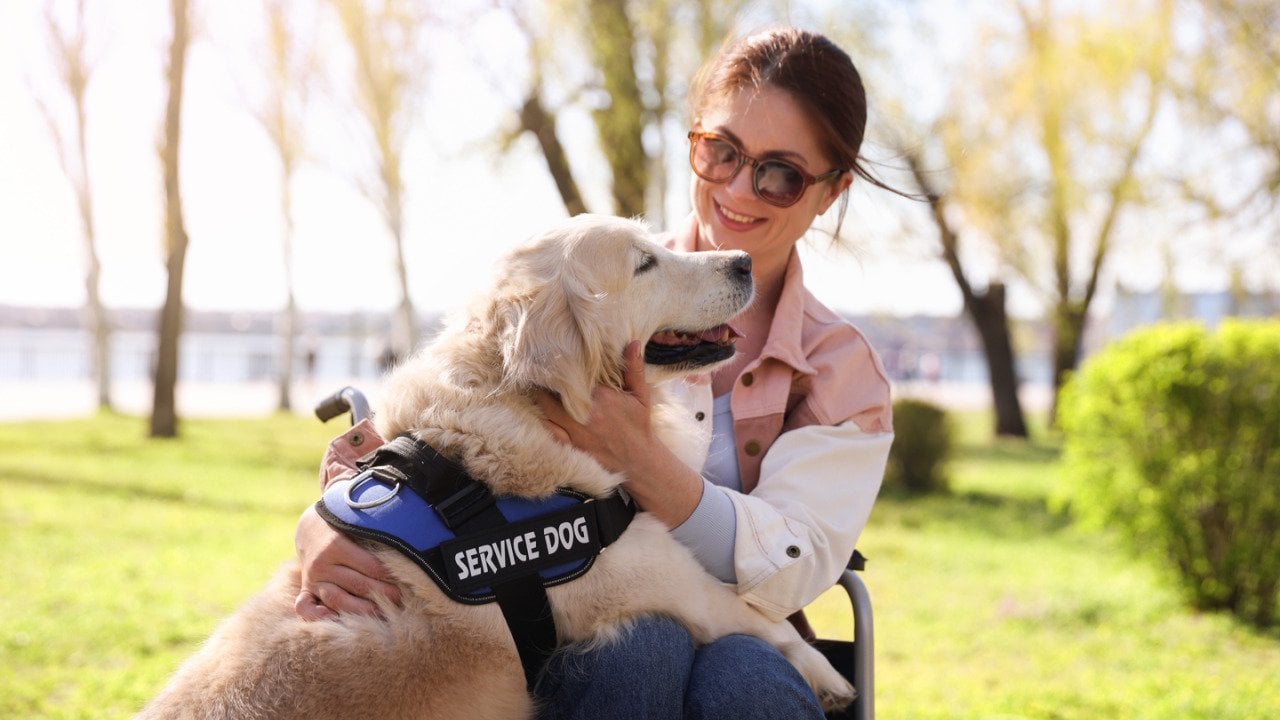 Woman in wheelchair hugging her service dog at park