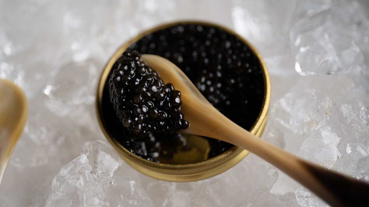 A spoonful of luxurious black caviar.