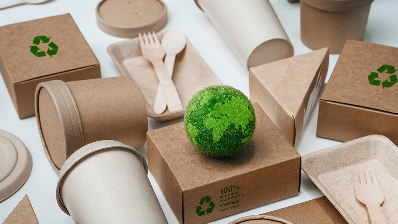 Eco friendly paper-based packaging for dining and food products.