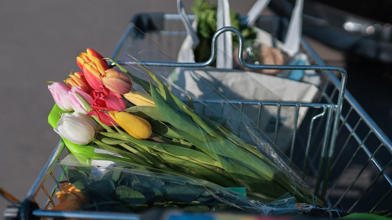 Fresh colorful tulips in a shopping cart.