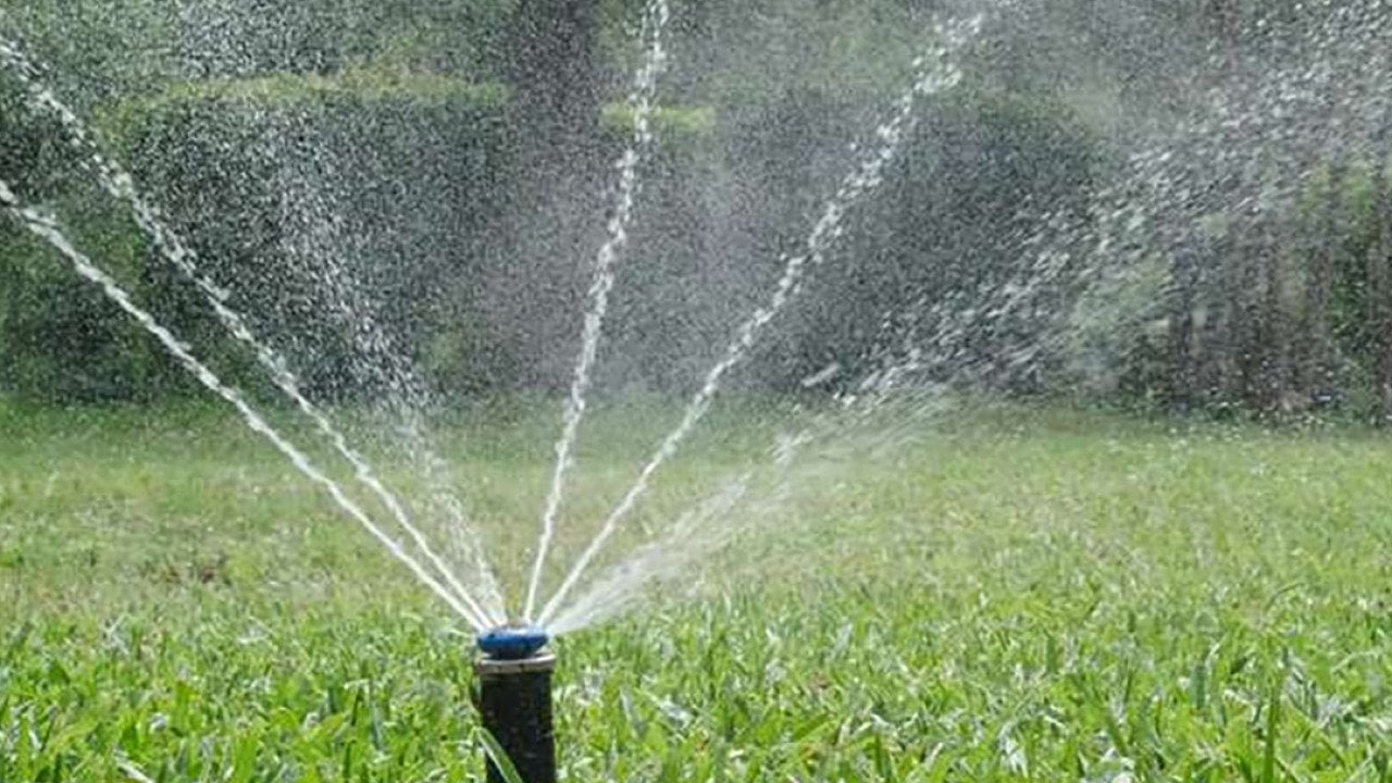 How to have a green lawn using 50% less water