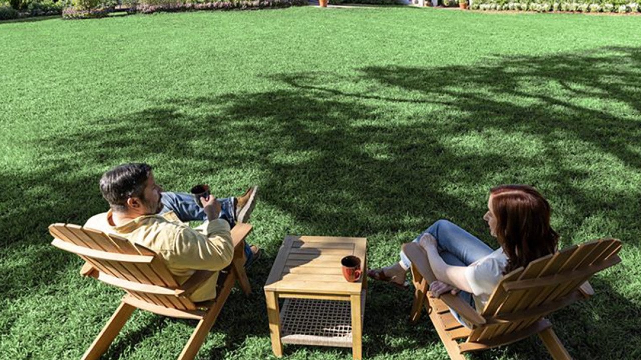 Spring lawn care: Start now for a greener year ahead