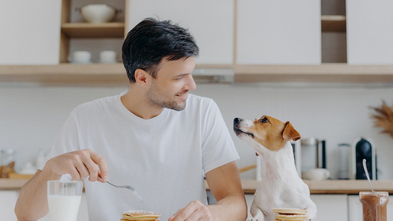 Man at home eating pancakes with his dog.