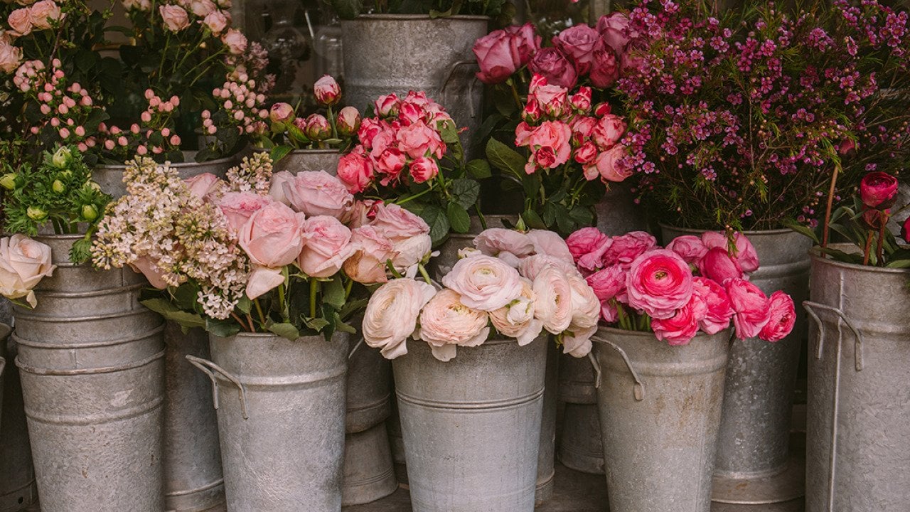 Pink roses and other flowers in buckets from a flower shop.