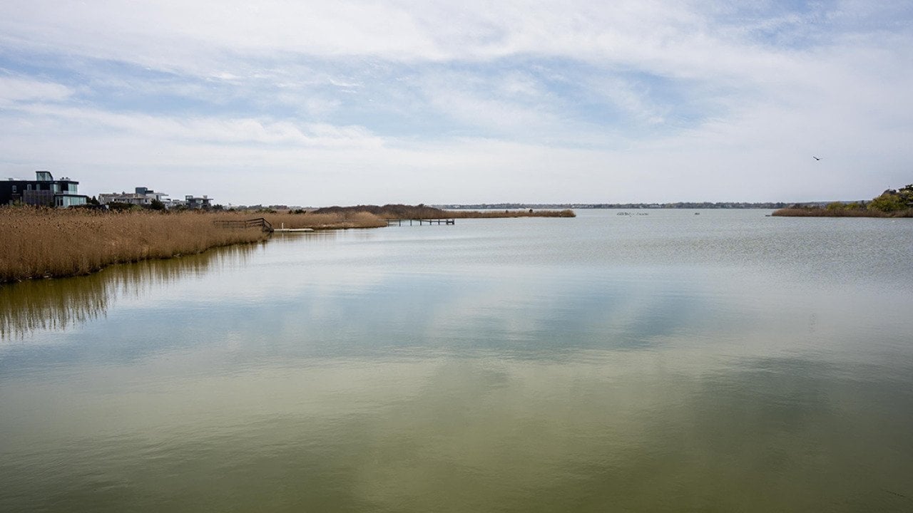 A view of the calm waters of Mecox Bay where Vibrio vulnificus, a deadly flesh-eating bacteria, is found on April 29, 2026, in Southampton, New York.