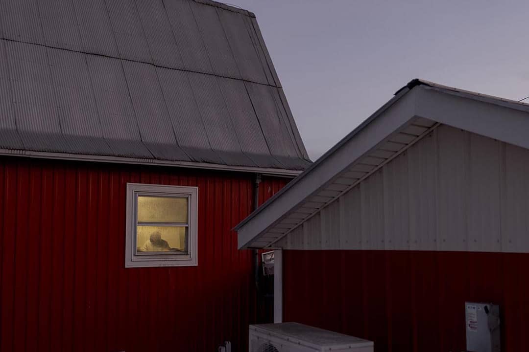 ‘I don’t go out’: Undocumented dairy workers live in fear after immigration raids
