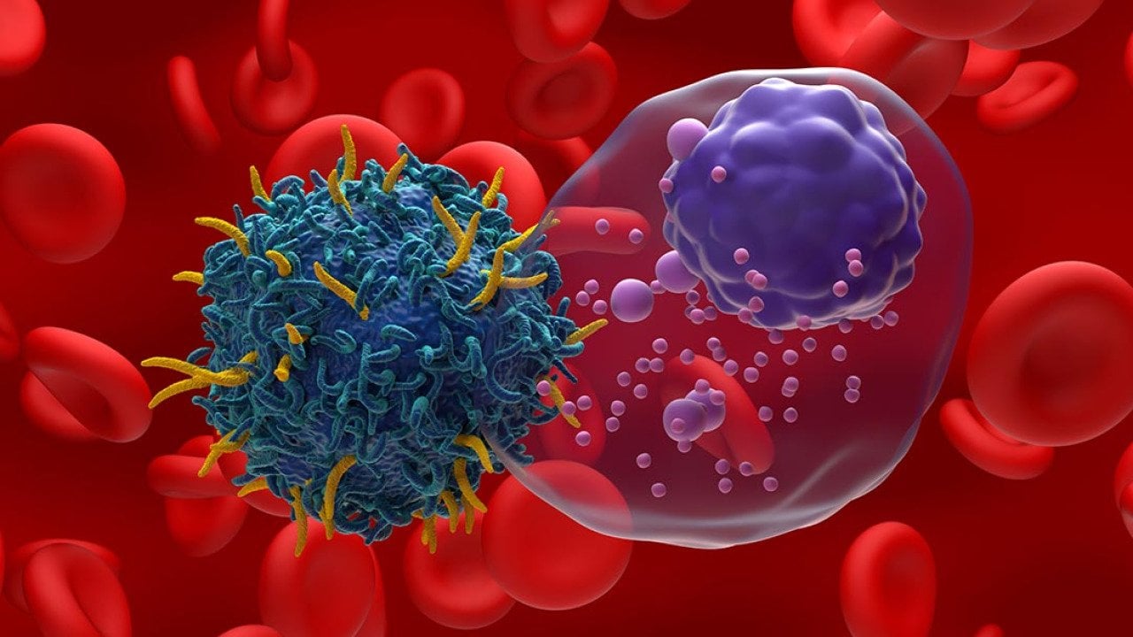 A 3D illustration of an antigen receptor (CAR) T-cell targeting multiple myeloma (MM) cancer cells.