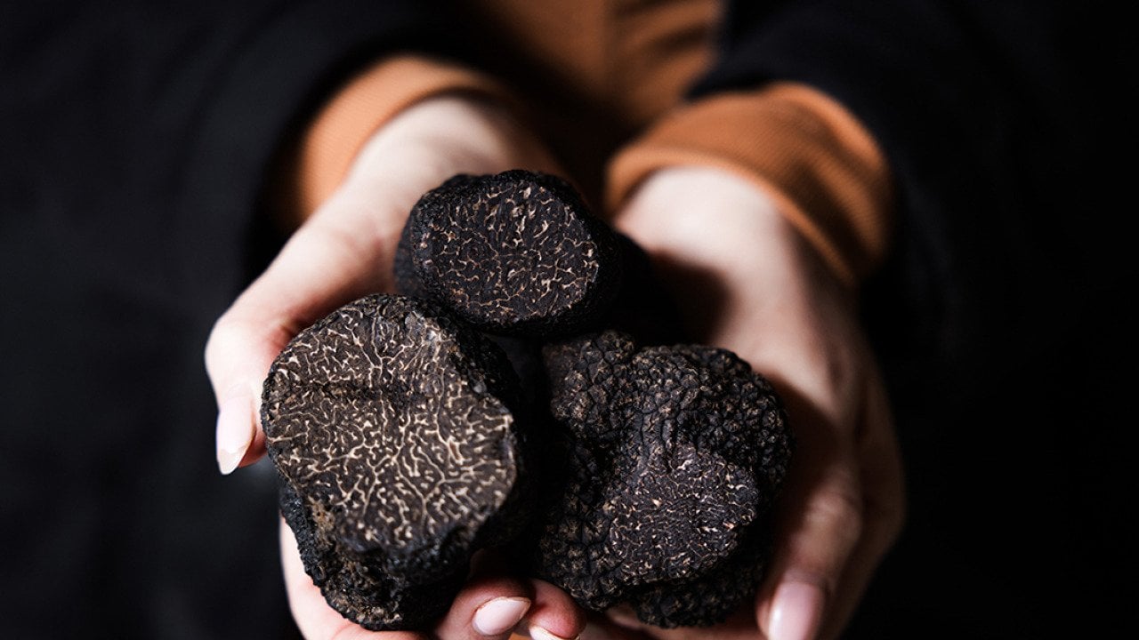 Medium-sized truffles from Canberra