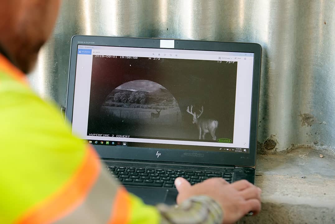 Photographer Mark Lawler from the Colorado Department of Transportation looking at photos that came from a remote camera, which captured wildlife in Buena Vista, Colorado, USA.