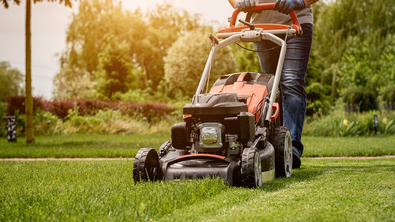 A gardener moving the lawn grass before making a landscape design.