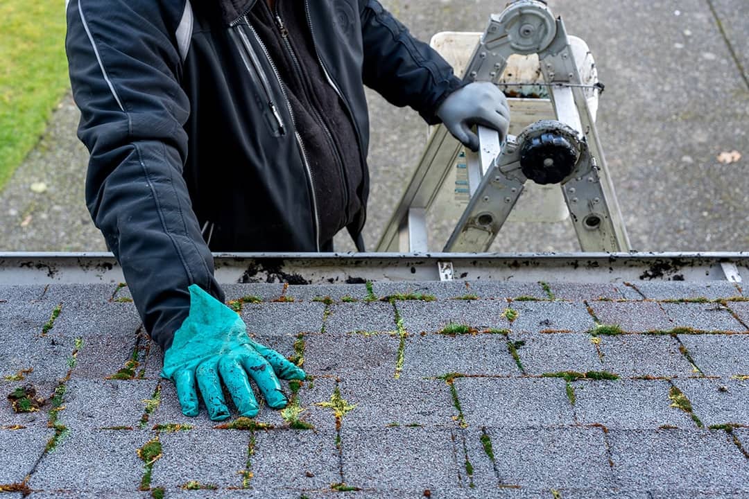 Man on top of a ladder cleaning moss and dirt from a building roof.