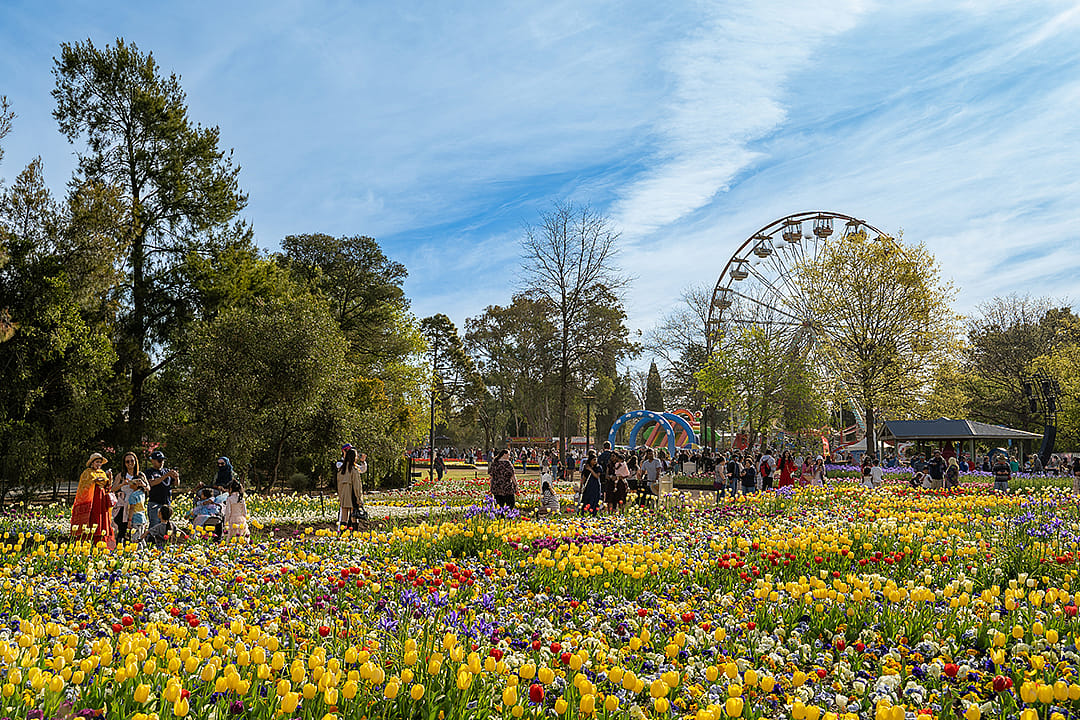 The Floriade flower festival, the biggest spring celebration taking place in Commonwealth Park, Canberra, Australia.