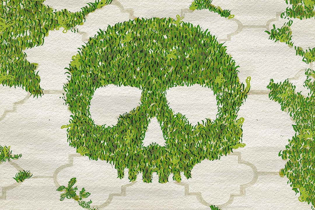 A custom illustration of a human skull formed out of green grass.