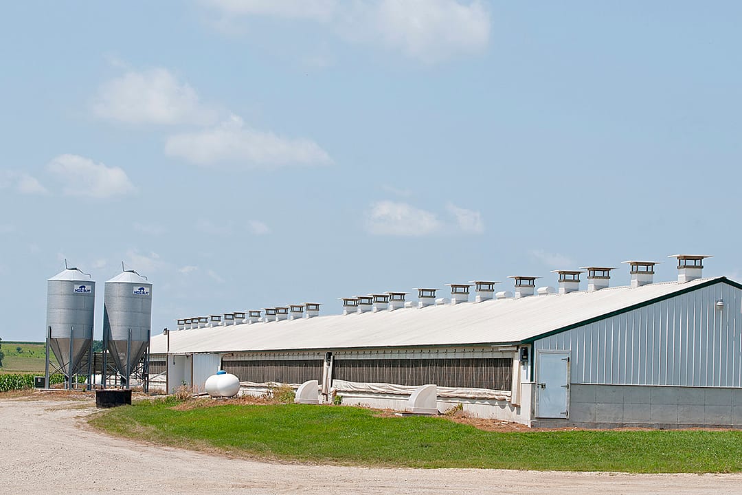 What data on 11K farms reveals about the country’s factory farm hotbed
