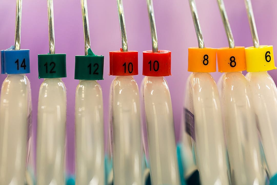 Clothes in hanger in different color labels of sizes.