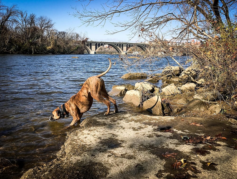 #15. Washington, DC