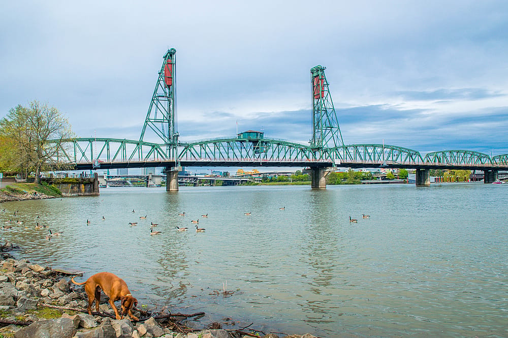 #26. Portland, OR