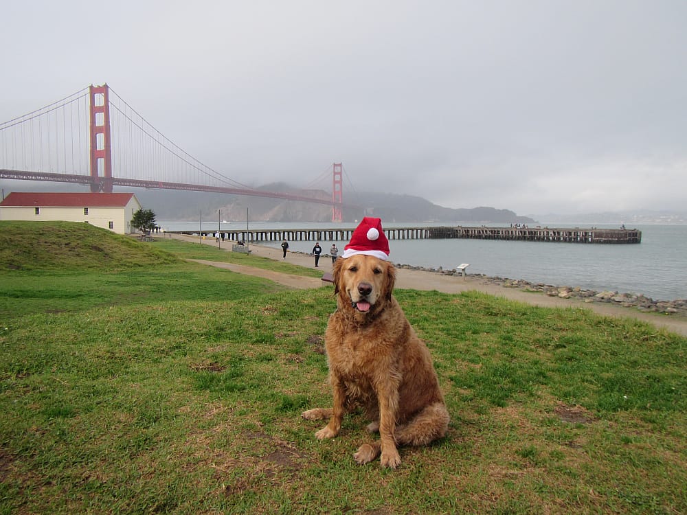 #1. San Francisco, CA