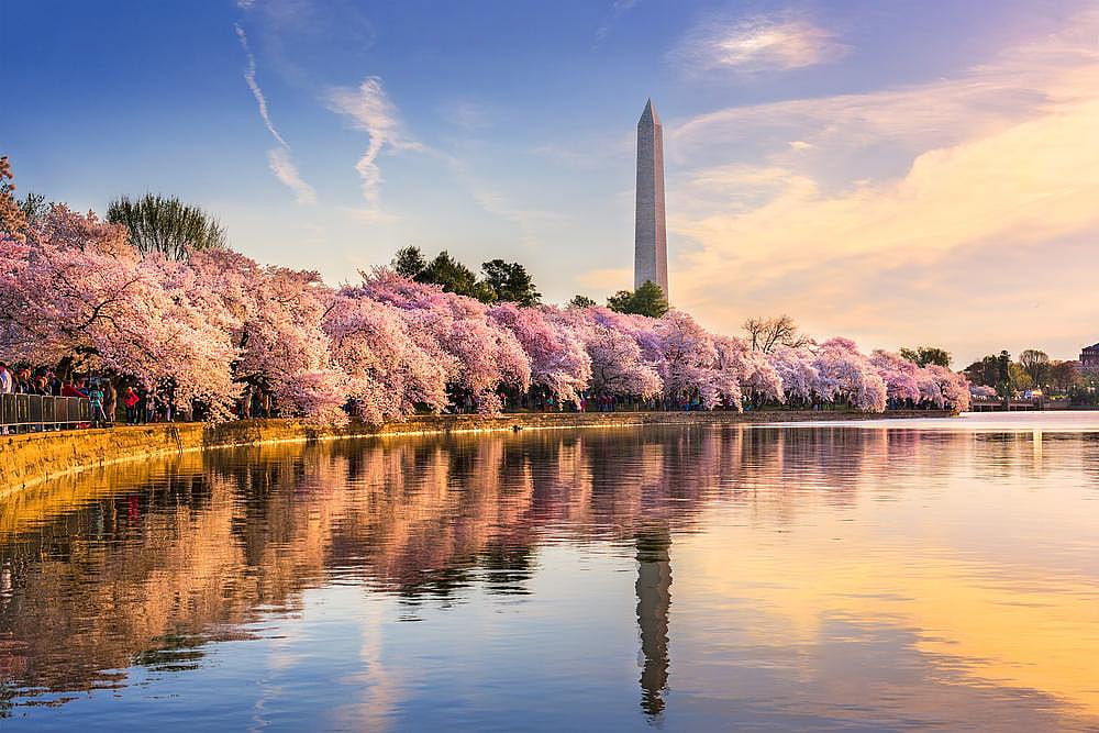 Washington D.C.