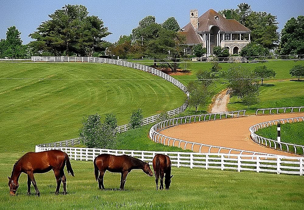 #3. Kentucky