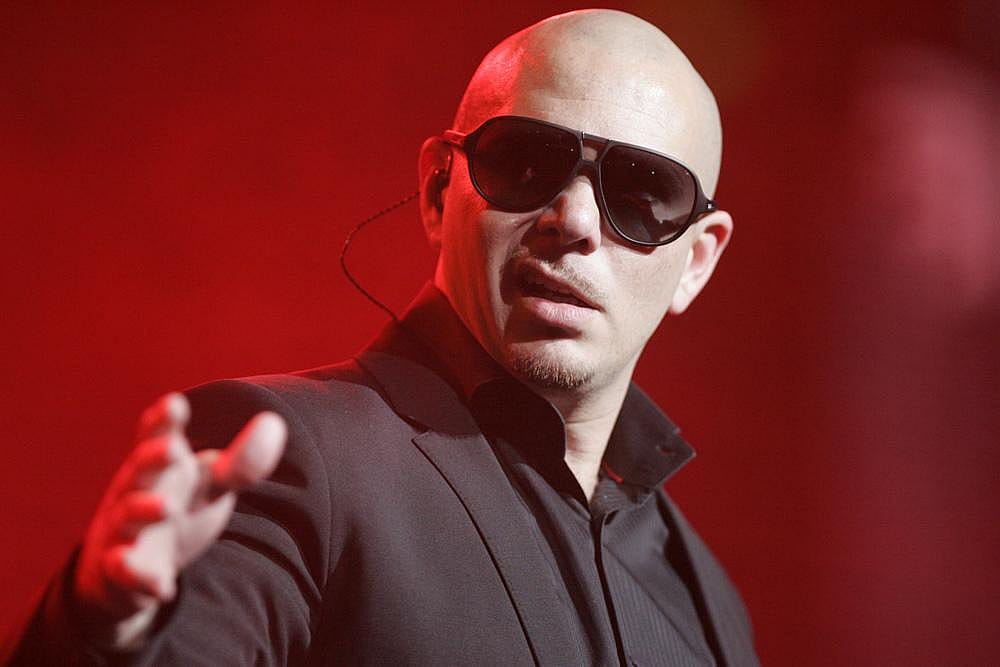 #29. Pitbull