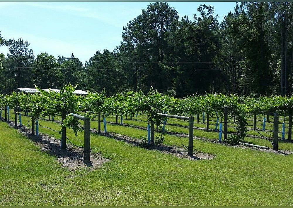 #24. Bluefield Estate Winery