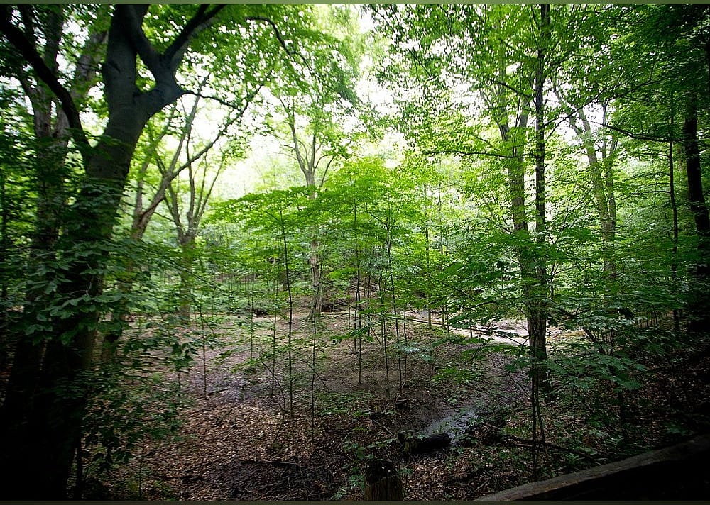 #15. Blandford Nature Center