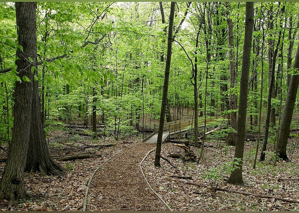 #13. Calvin Ecosystem Preserve & Native Gardens