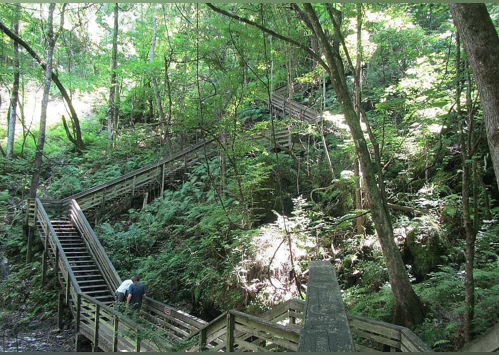 #10. Devil's Millhopper Geological State Park