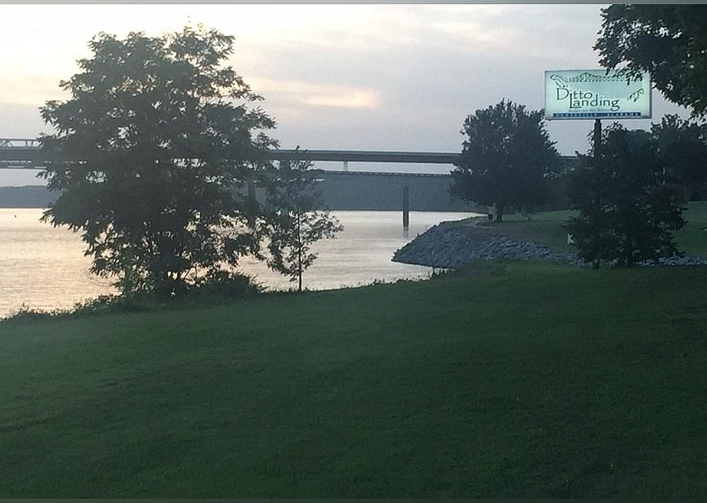 #29. Ditto Landing