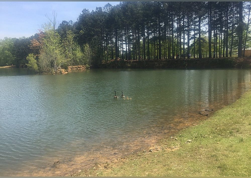 #22. Hays Nature Preserve