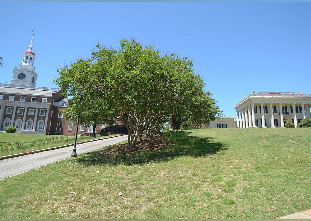 #24. Coleman Hill park