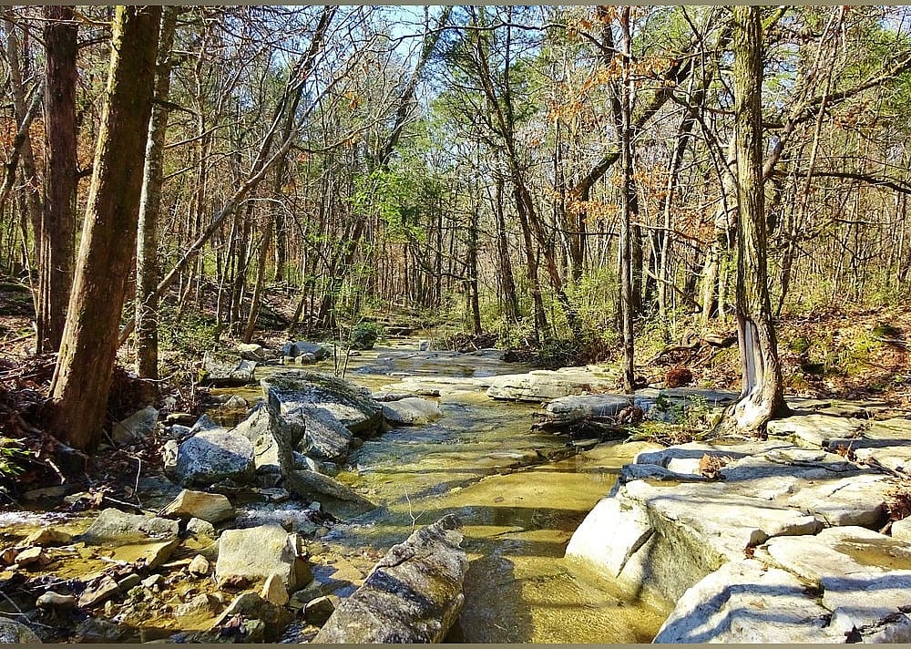 #20. Land Trust of North Alabama