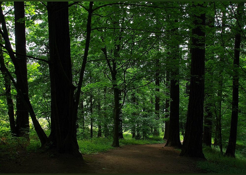 #20. Mount Tabor Park