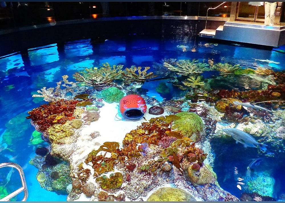 #18. New England Aquarium