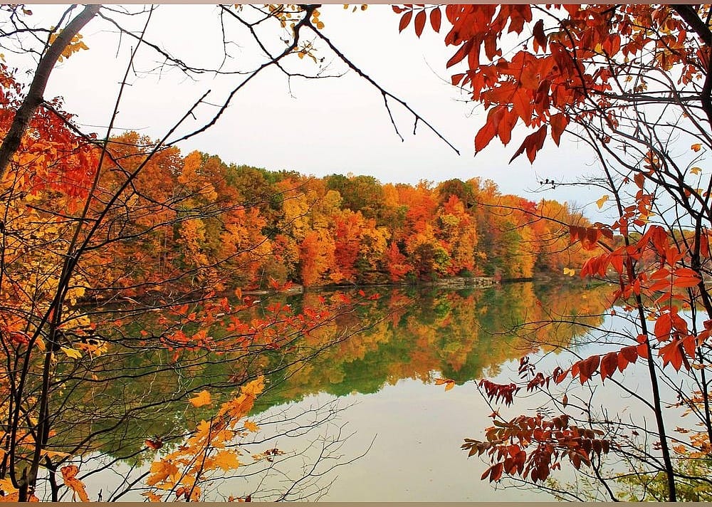 #3. Nelson Ledges Quarry Park