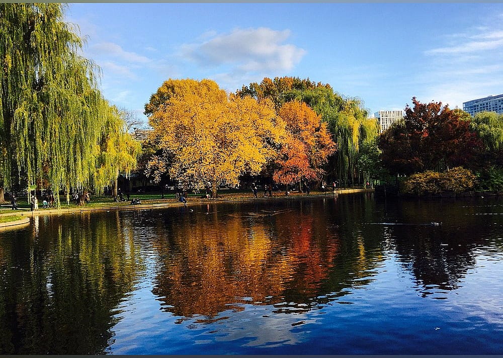 #6. Boston Public Garden