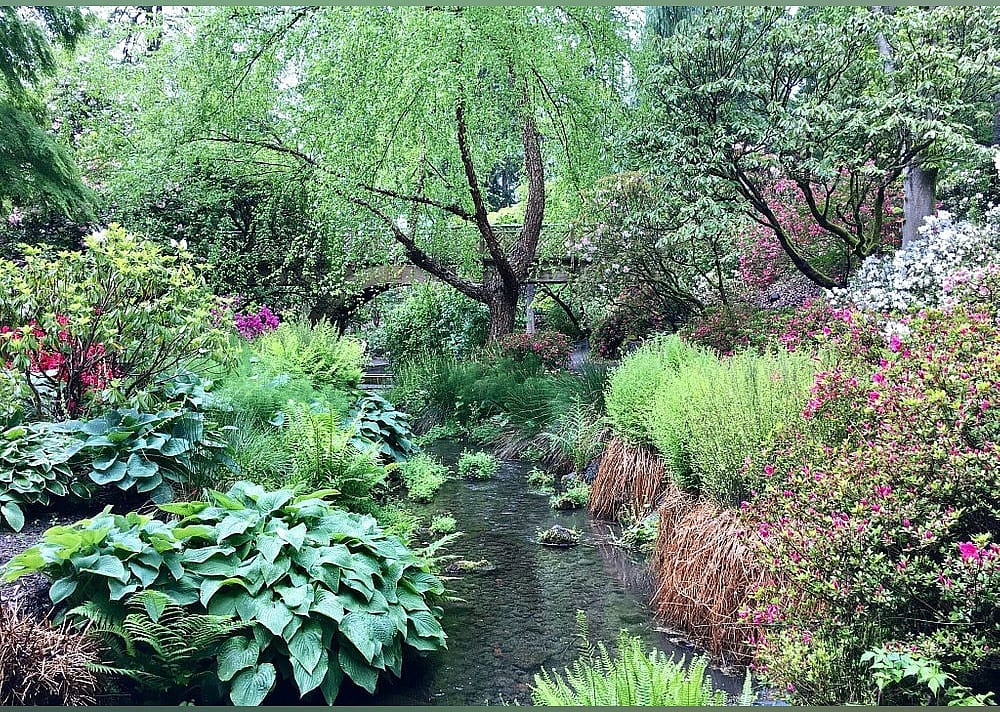 #11. Crystal Springs Rhododendron Garden