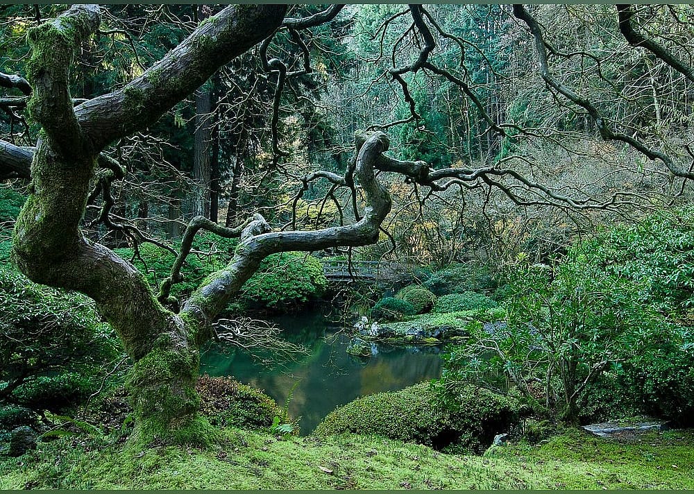 #1. Portland Japanese Garden
