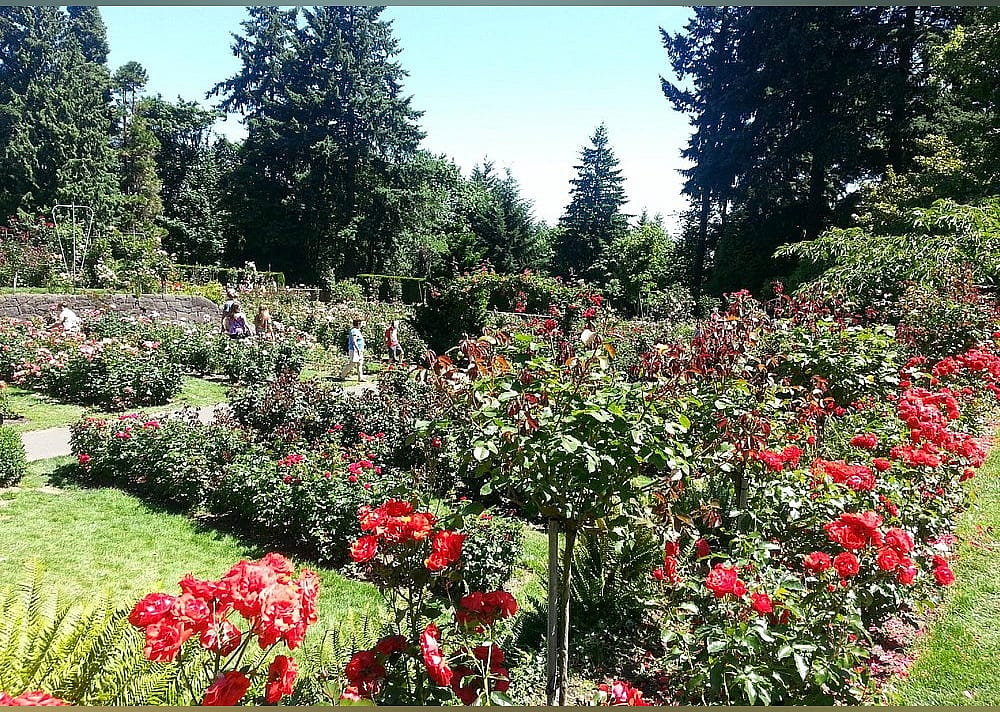 #3. Washington Park