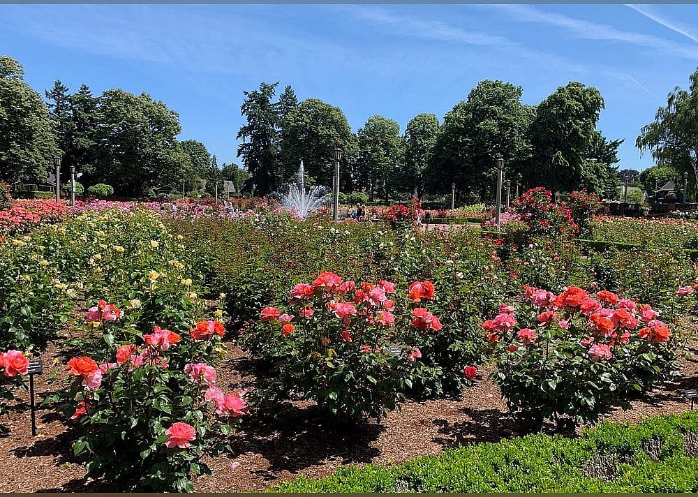 #19. Peninsula Park and Rose Gardens