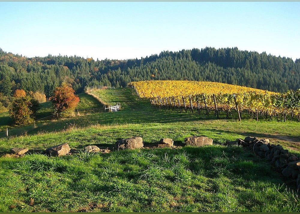#7. Willamette Valley