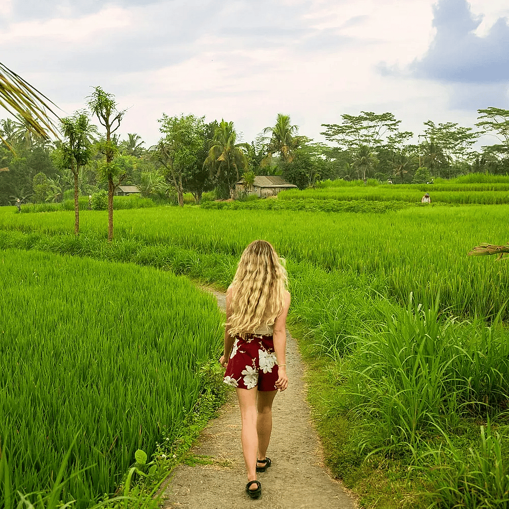 A tourist walking through the lush green and tropical trees in Bali, Indonesia.