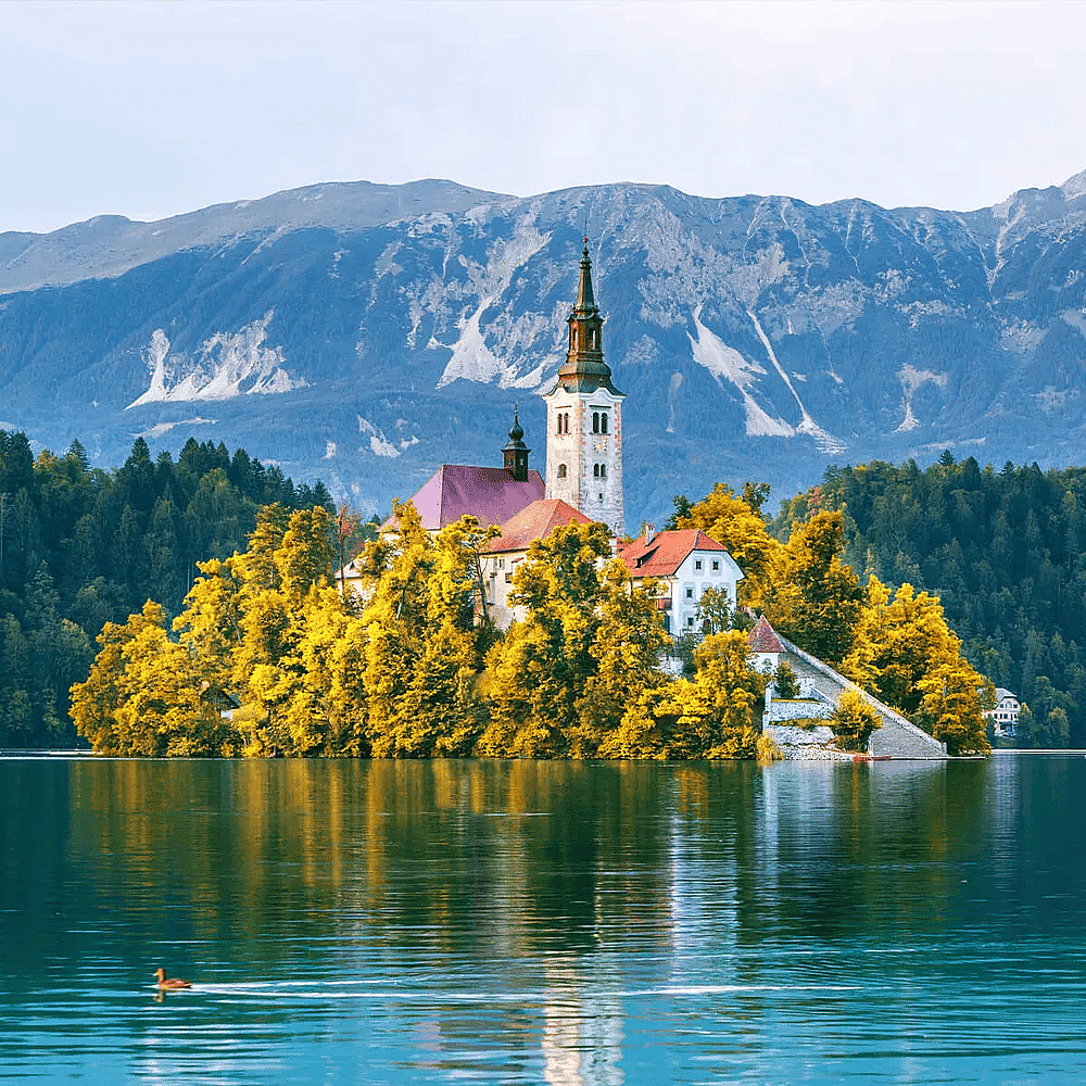 A beautiful island church situated in the middle of Lake Bled in Slovenia.