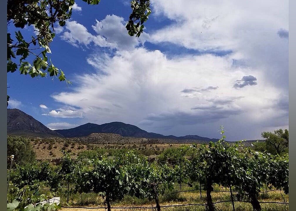 #11. Sutcliffe Vineyards