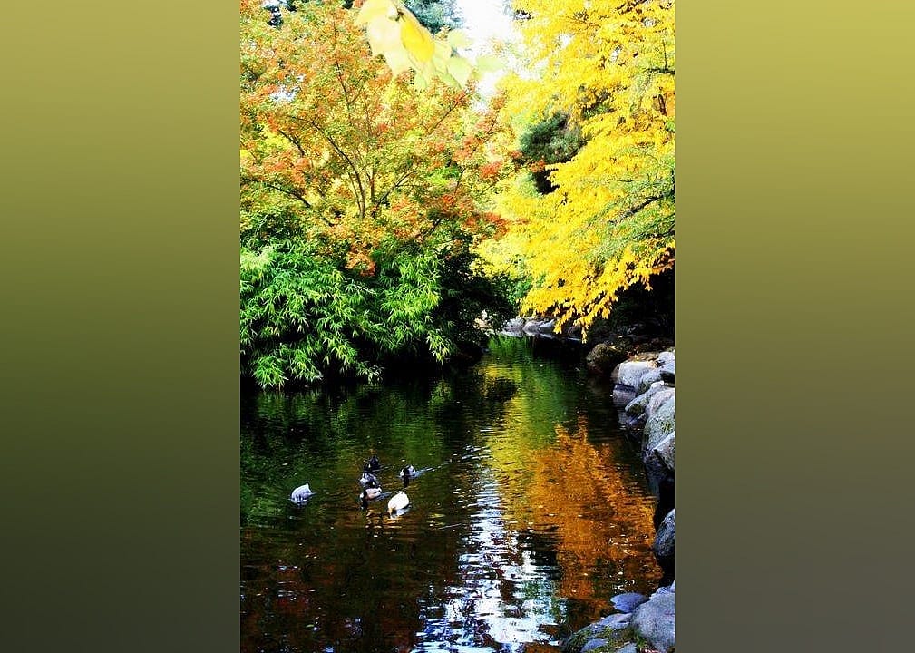 #16. Lithia Park