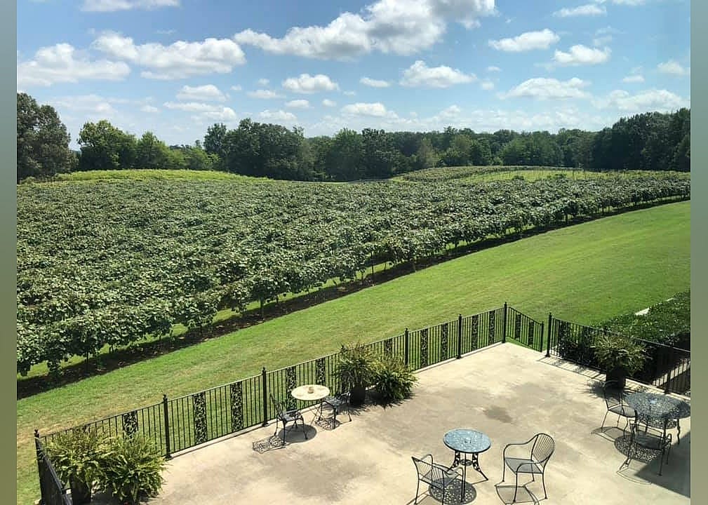 #16. DelMonaco Winery & Vineyards